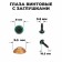 Screw eyes with plugs, translucent, set 4 pcs, green color, size 1 pc: 0.8 × 0.8 cm