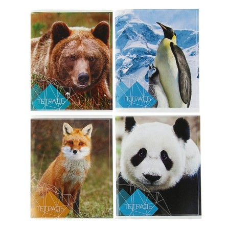 A notebook of 96 sheets in Calligrata "Animals", covered cardboard, block No. 2, whiteness 75% (gray sheets), mix