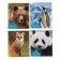 A notebook of 96 sheets in Calligrata "Animals", covered cardboard, block No. 2, whiteness 75% (gray sheets), mix