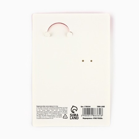 Gift set "Raccoon" icon + keychain, 6.8 x 10.5 cm.-7