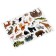 Board Game Magnetic "Safari Zoo"