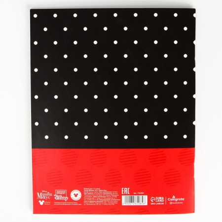 School diary, grade 1-11 in a soft cover, 48 l, Minnie Mouse-2