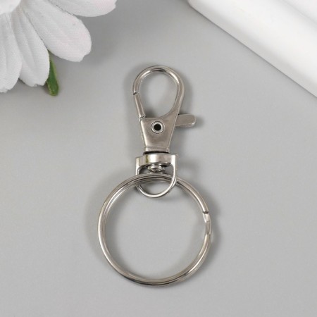 Metal keychain "Carabiner with a ring" silver 2.8x6 cm-2