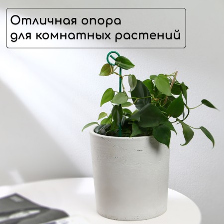 Pegs for garter plants, h = 30 cm, d = 0.3 cm, wire, green, greengo-1