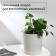 Pegs for garter plants, h = 30 cm, d = 0.3 cm, wire, green, greengo