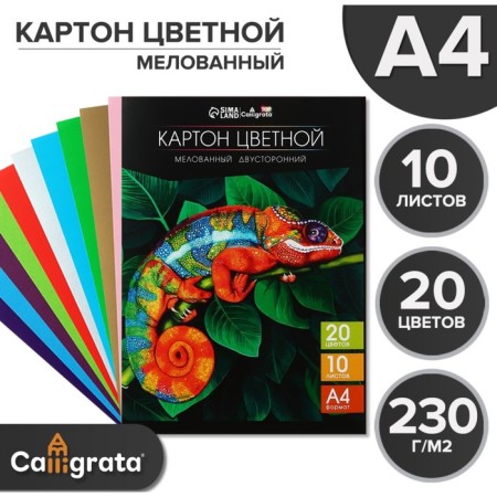 Cardboard two -sided A4, 10 sheets, 20 colors, calligrata top shared 230 g/m2, in folder