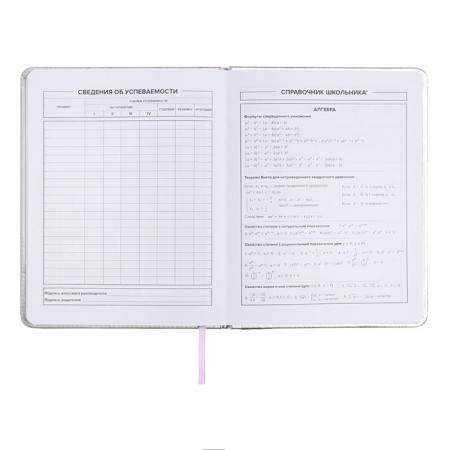 School diary for grades 1-11 "cat", firm covering with foam, artificial leather, application, foil embossing, liesse, 48 sheets, universal cheat sheet, block 80g/m2-9