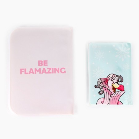 Flamingo Winter Party: Passport-Obvikhko and Diary Pass.-2