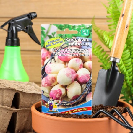 Picasso, 0.02 g seeds