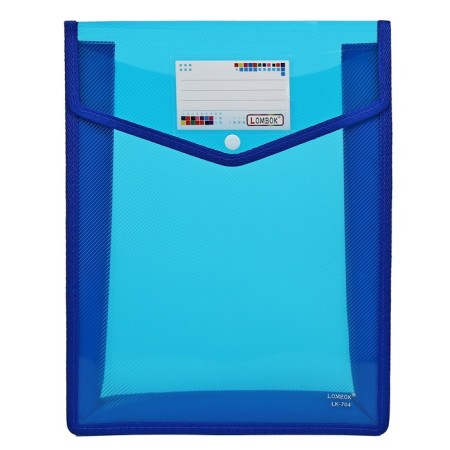 The convert folder on the A4 button, 500 md, with extension, vertical, pocket for business cards, mix-4