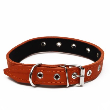 Leather collar on synthetic winterizer, dimensionless, 54 x 2.5 cm, Osh 19-47 cm, orange-1