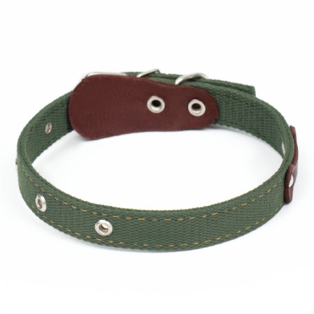 The collar is a tarpaulin two-layer dimensionless, with a tongue and a leather bone, 2.5x60 cm, Osh 30-55 cm 90-1