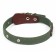 The collar is a tarpaulin two-layer dimensionless, with a tongue and a leather bone, 2.5x60 cm, Osh 30-55 cm 90
