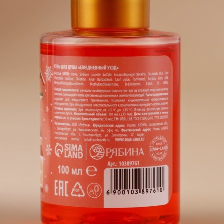 Shower gel, 100 ml, aroma of apple mulled wine, Ural Lab-3