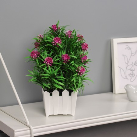 Bonsai in the Bromelia Premium pot 21x7.5 cm, mix-4