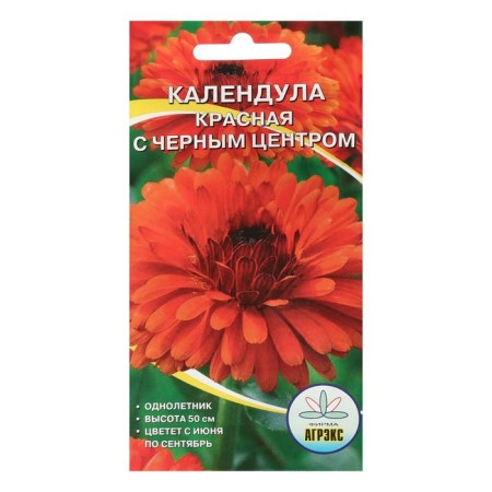 Flower seeds Annual calendula Taurus red with a black center center 0.2 g