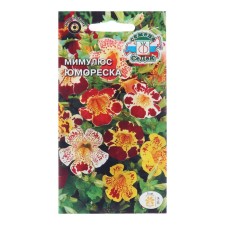 Flowers of Mimulus 