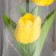 Nightlight "tulips" LED 3HAAA yellow 10.5x10.5x22cm