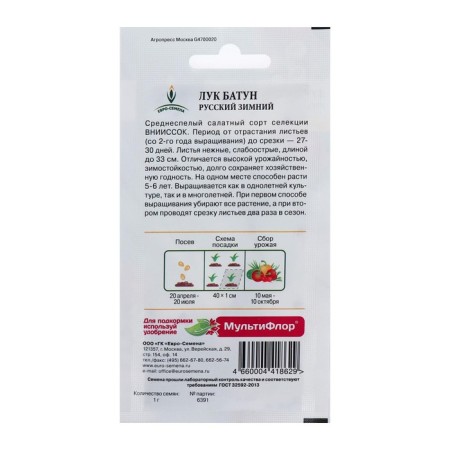 Semen onions "Russian" Winter Batun, 1 g-4