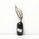 Barberis Tunberg "Pau Wow" 1 pc, tube, spring 2025