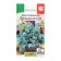 Brocco Brocco Brocco Cabbage seeds, 0.3 g