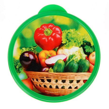 Lunch box "Vegetables and herbs", 0.5 l-2