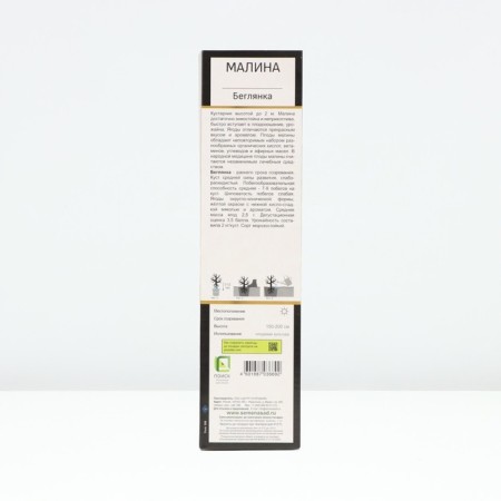 Raspberry promising varieties "runaway", tube, 1 pc, spring 2025-1