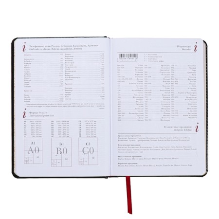 Diary of a low -end A5+, 136 sheets of Sidney Nebraska, solid cover, artificial leather, gold cut, black-8
