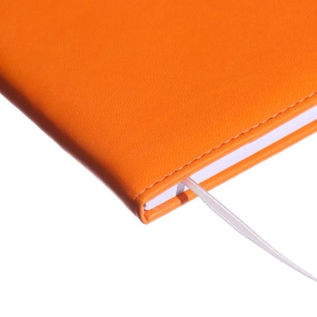 Universal diary for grade 1-11 Fox, hard cover, artificial leather, foam rubber, lies, 80 g/m2-2