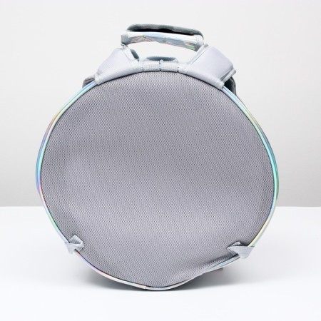 Round backpack for carrying animals, transparent, 26 cm, gray-3