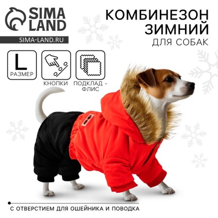 Clothing for dogs. Combineson winter "Warm Winter", Red-Cherry, Size L