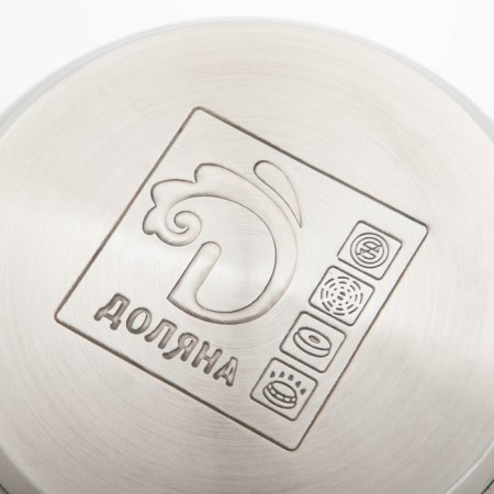 A stainless steel pan with a luxury luxury lid, 2.2 l, d = 19 cm-4