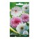 Flowers Cosmea Tensor, o, 0.2 g