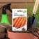 Seed Carrots "Children's Joy", 1.5 g Series Hit X3