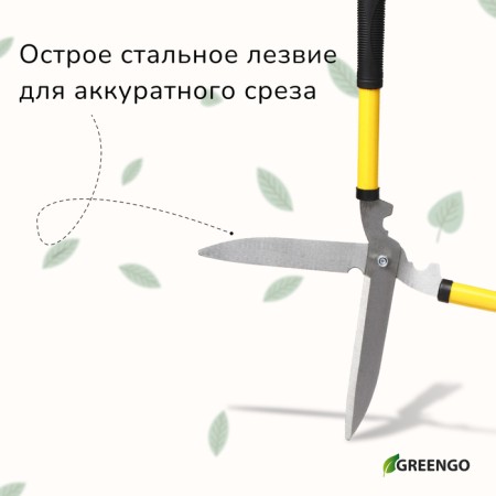 Kustorez, 21.5 "(55 cm), with rubber pens, with a case-4