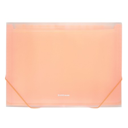 A4 cartridge folder on the 13 departments button, Erichkrause, Matt Neon, transparent plastic, mix-5