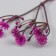Artificial plant for creativity "chicory" set of 8 pcs fuchsia 10 cm