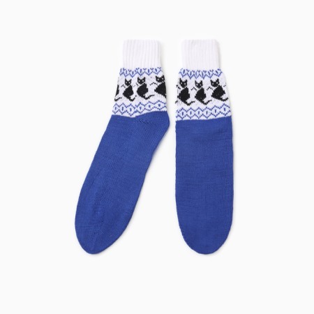 Women's socks "cat", blue color, rr 25-27