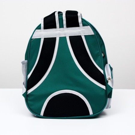 Backpack for carrying animals, transparent, 31 x 28 x 42 cm, green-3