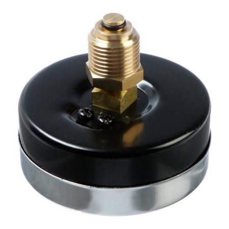 Thermomanometer "CTM", axial, DK 80 mm, 0.6 MPa, external thread 1/4 ", 120 ° C-2