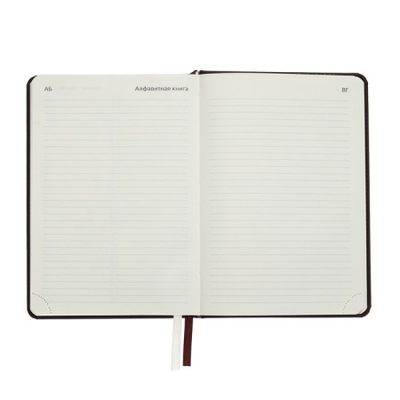 Leduced A5 Diary, 160 sheets, Devente.emblem, firm cover of artificial leather with foam, lies, block 70 g/m2, brown-8