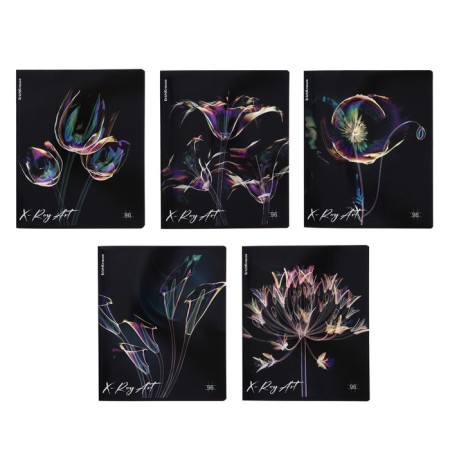A notebook of 96 sheets in the Erichkrause "X-Ray Art", holographic lamination, an offset block 100%, mix
