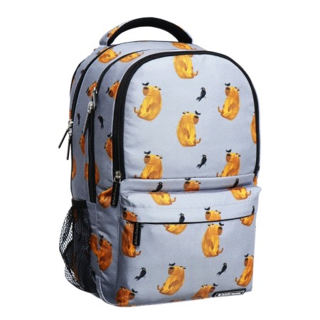 Youth backpack 42 x 27 x 19 cm, Erich Krause ActiveLine Ergoback 22l, Capybara-1