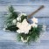 Decor "Winter Dreams" Stars of the Berry Leaflets, 18 cm