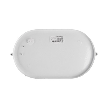 Lamp NBP 04-100-002, UHL1, 100W, E27, 220V, IP54, with a lattice, white-2