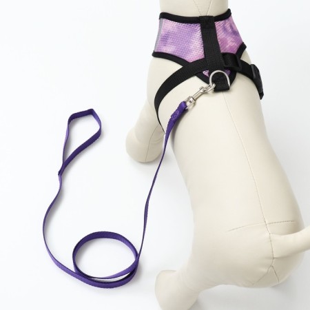 A set for dogs 3-5 kg, size S, leash 120 x 1.5 cm, Osh 24 cm, OG 34 cm-2