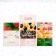 Set of envelopes for money "Congratulatory"
