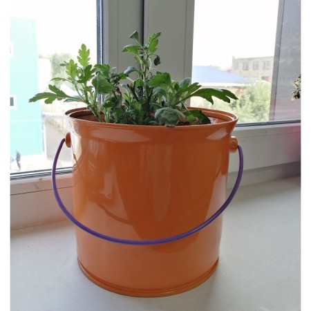 Flowers' set: bracket + kashpo, orange color-1