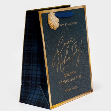 Laminated vertical packet “Shine in the New Year”, 25.4 x 30.5 x12.7 cm, New Year-2