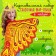 Carnival set "Fairytale Firebird" cape, bandage